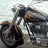Harley Moab Gallery