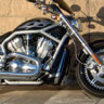 Harley V-Rod Gallery